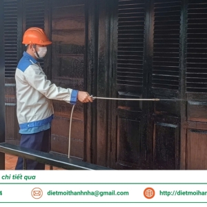 dich-vu-diet-moi-tan-goc-tai-long-an