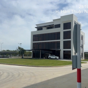 dich-vu-diet-moi-hanh-nha-tai-tphcm