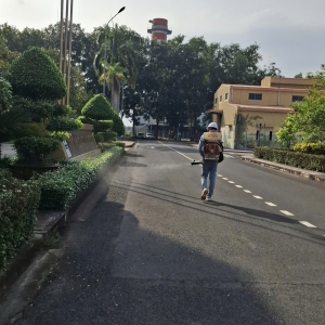 dich-vu-xu-ly-con-trung-tai-tphcm