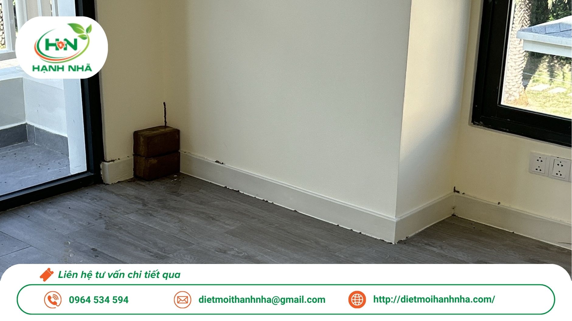 Dịch vụ diệt mối tận gốc