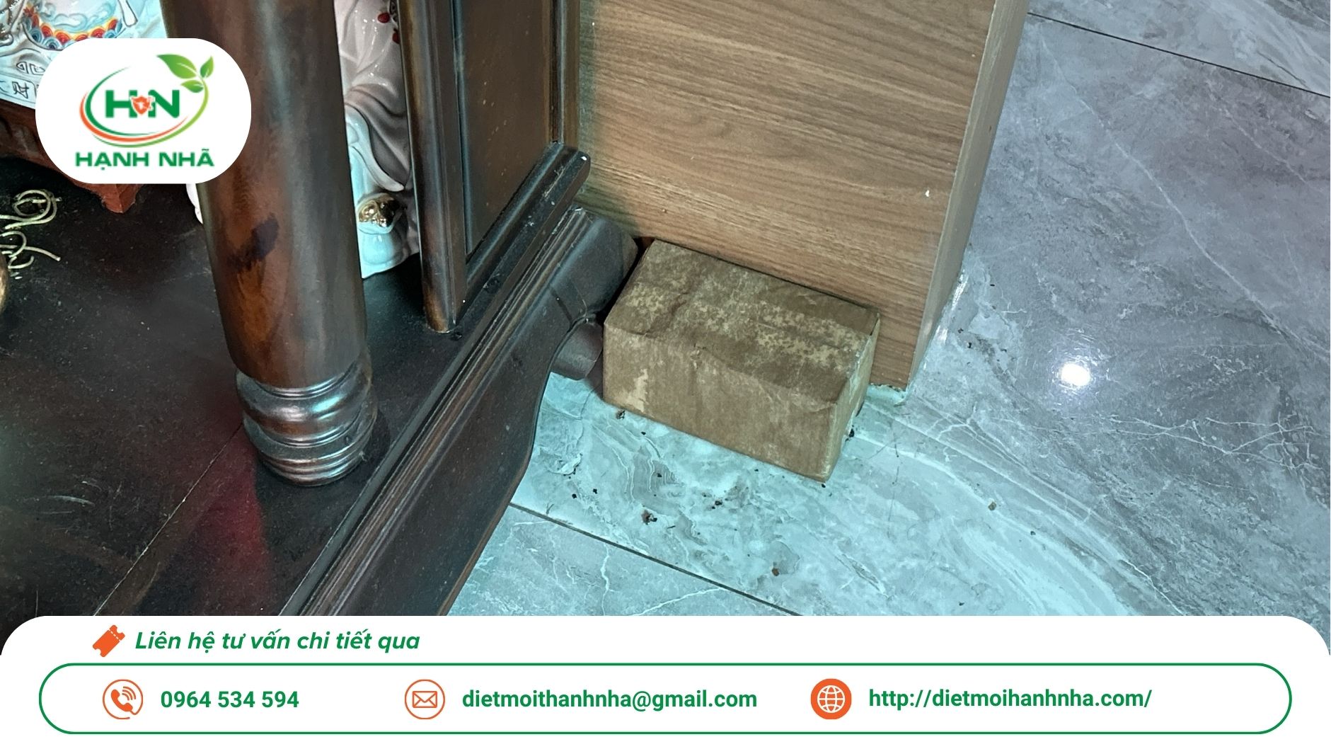 Dịch vụ diệt mối tận gốc