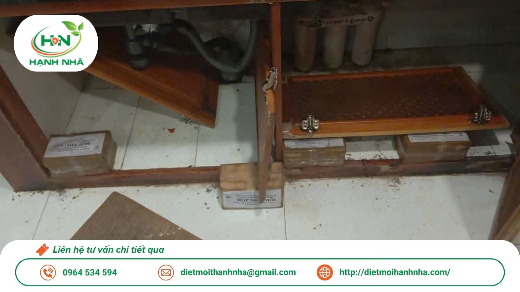 Dịch vụ diệt mối tận gốc