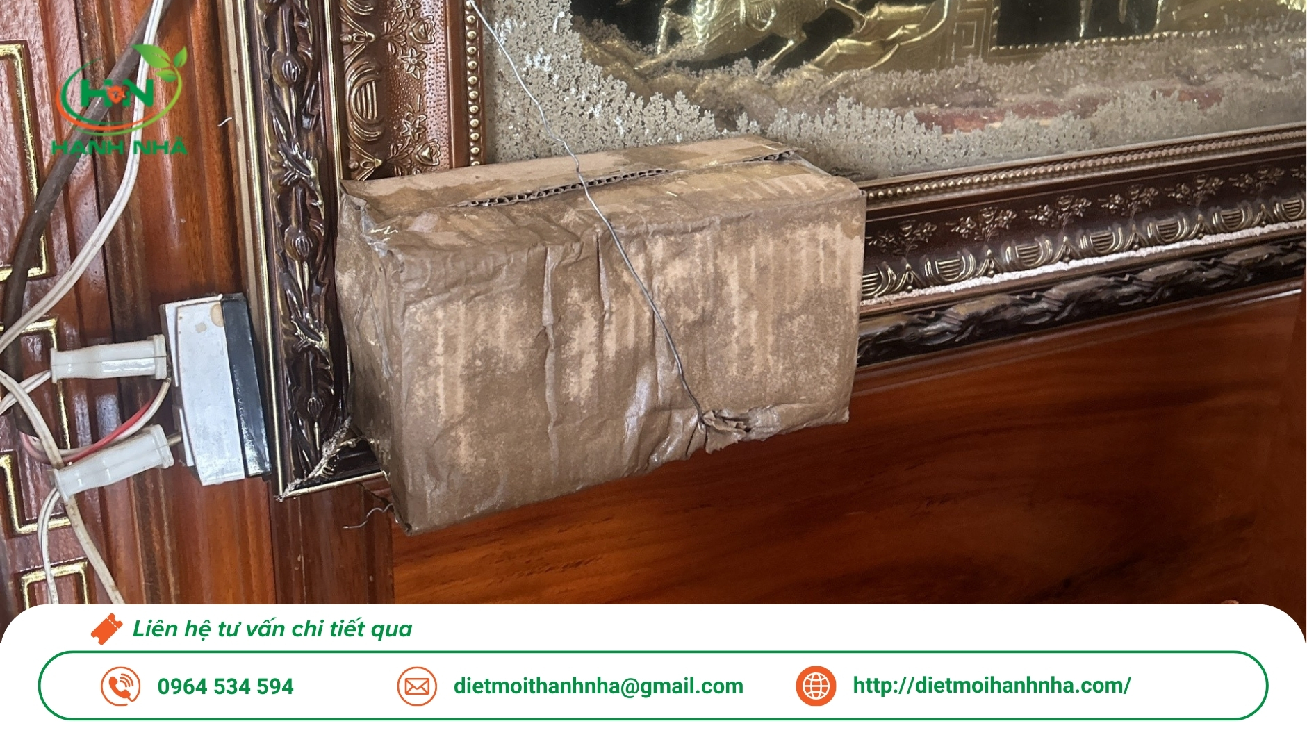 Dịch vụ diệt mối tận gốc