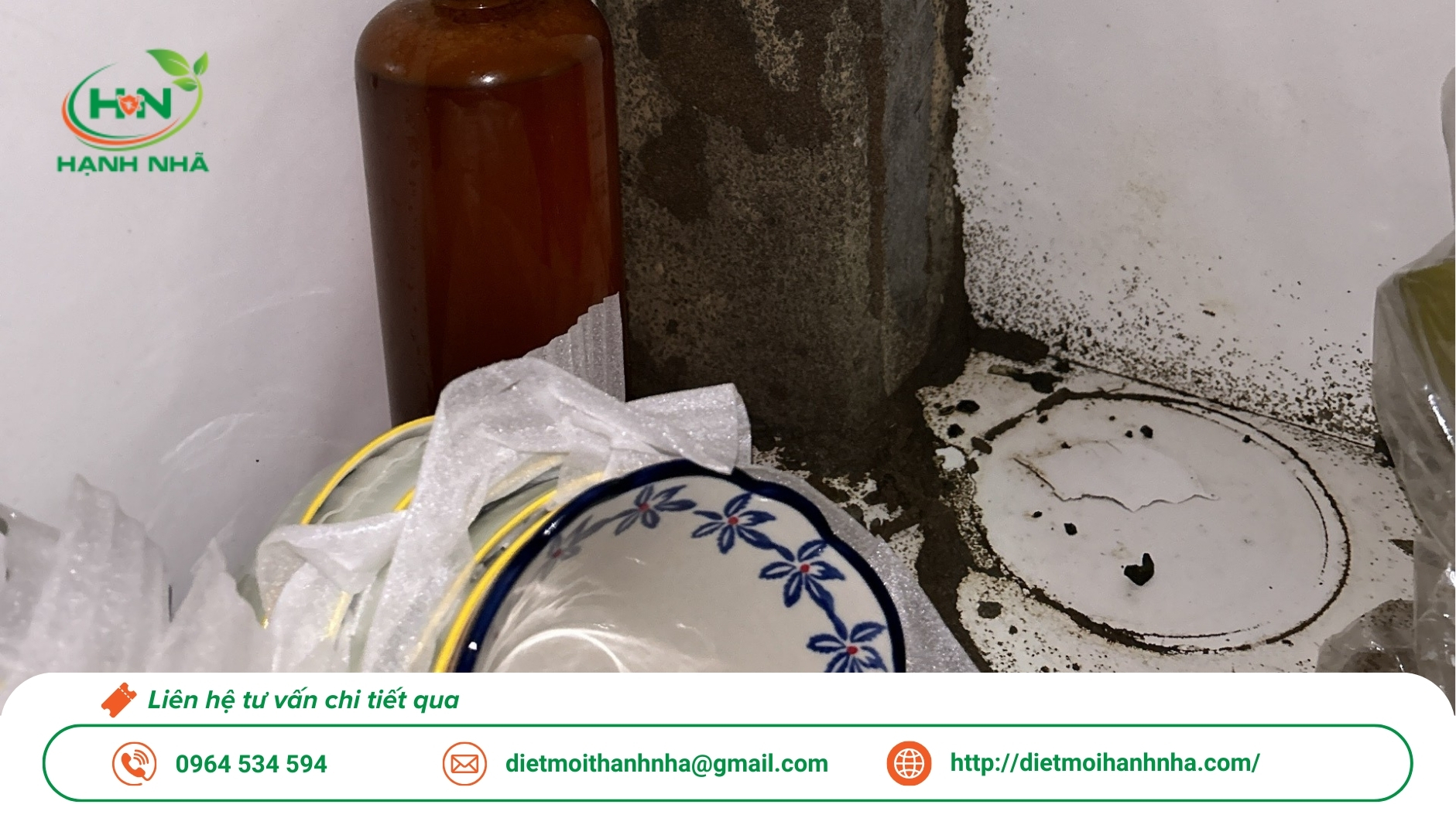 Dịch vụ diệt mối tại nhà