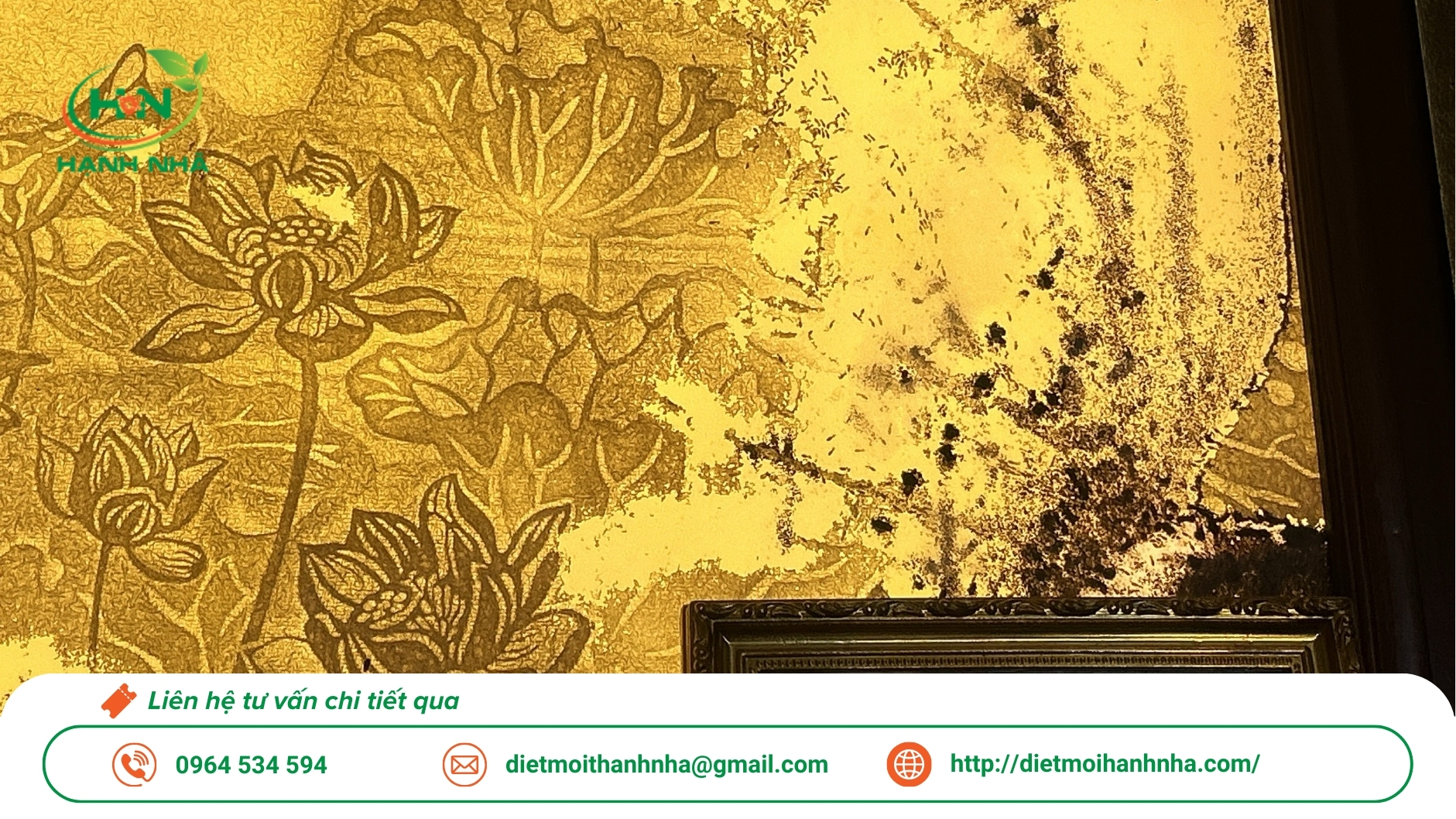 Dịch vụ diệt mối tận gốc