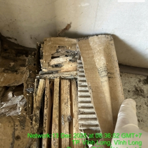 dich-vu-diet-moi-tai-tien-giang