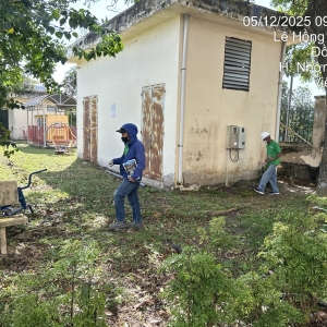 dich-vu-diet-moi-tai-can-tho