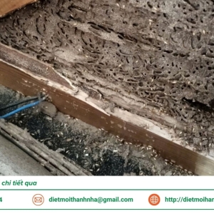 dich-vu-phong-chong-moi-cho-nha-moi-xay-tai-long-an