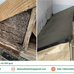 xu-ly-moi-hai-cho-nha-xuong-tai-long-an