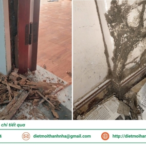 top-10-don-vi-diet-moi-uy-tin-tai-long-an-2026