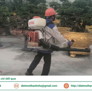 dich-vu-diet-moi-tan-goc-tai-dong-thap