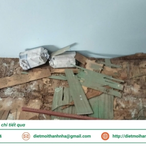 dich-vu-diet-moi-tan-goc-tai-tay-ninh