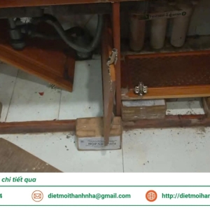 dich-vu-diet-moi-tan-goc-tai-vinh-long