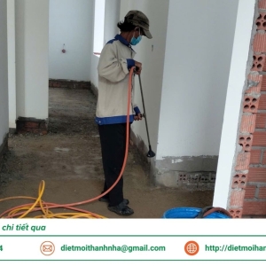 dich-vu-diet-moi-tan-goc-tai-kien-giang