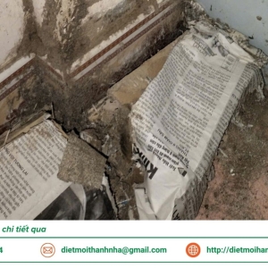 dich-vu-diet-moi-tan-goc-tai-ca-mau