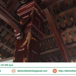 dich-vu-diet-moi-tan-goc-tai-can-tho