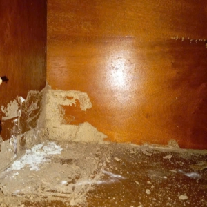 dich-vu-diet-moi-tan-goc-tai-duc-hoa-long-an