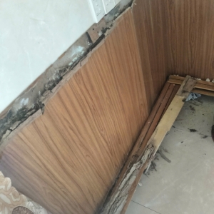 cach-nhan-biet-nha-bi-moi-an-dau-hieu-xu-ly-moi-tai-long-an