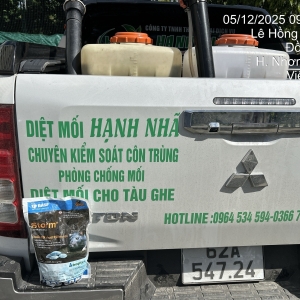 dich-vu-diet-moi-tai-tay-ninh