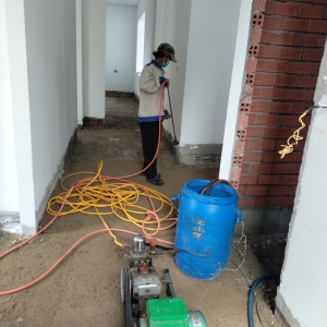 dich-vu-diet-moi-tai-tra-vinh