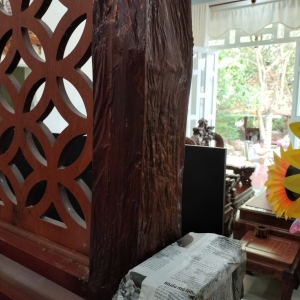 dich-vu-diet-moi-tai-tinh-vinh-long