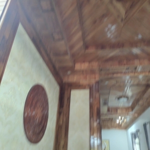 dich-vu-diet-moi-tai-long-an