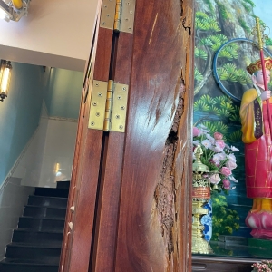 dich-vu-diet-moi-long-an-uy-tin-xu-ly-tan-goc-bao-hanh-dai-han