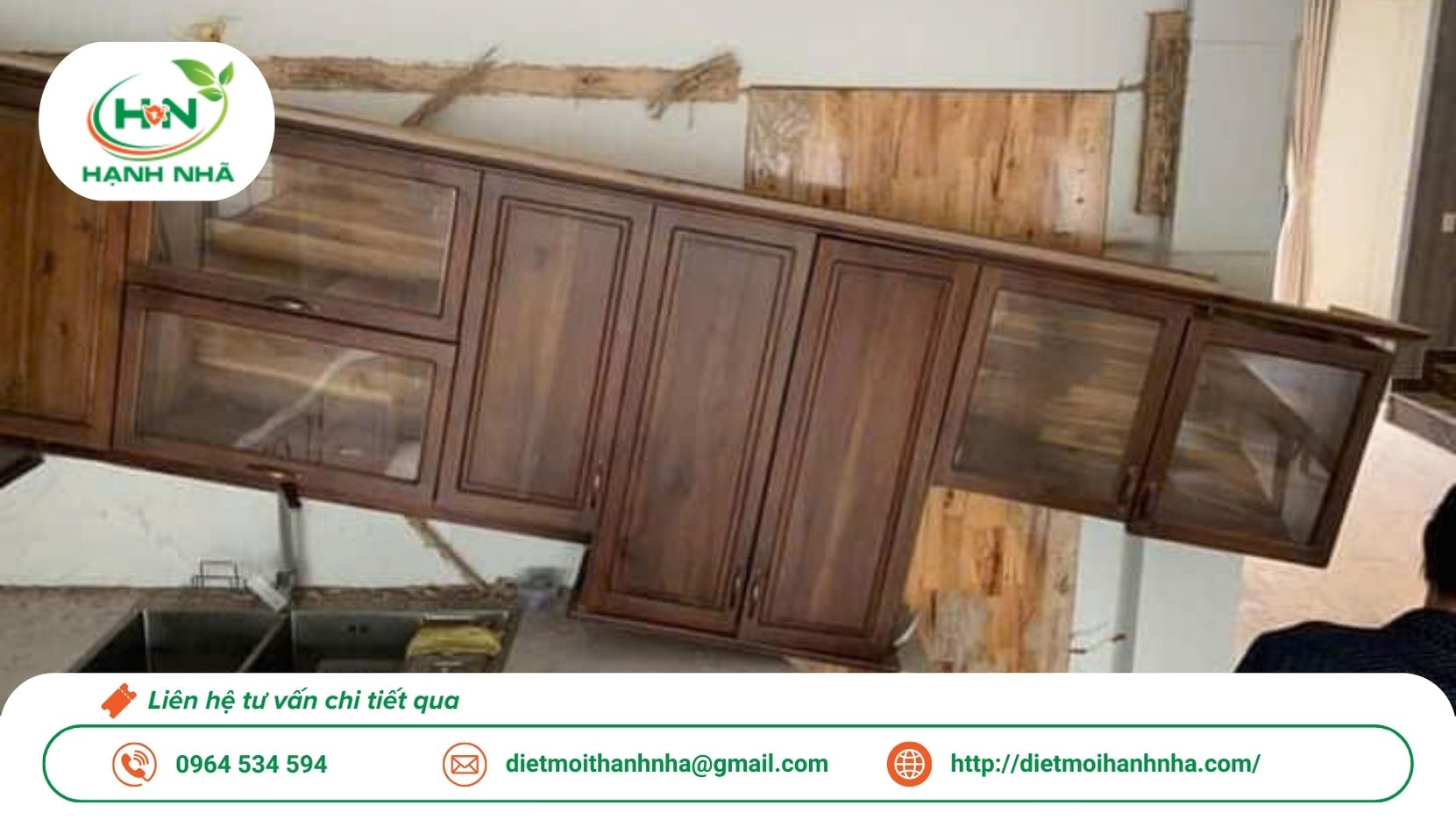 Dịch vụ diệt mối tận gốc