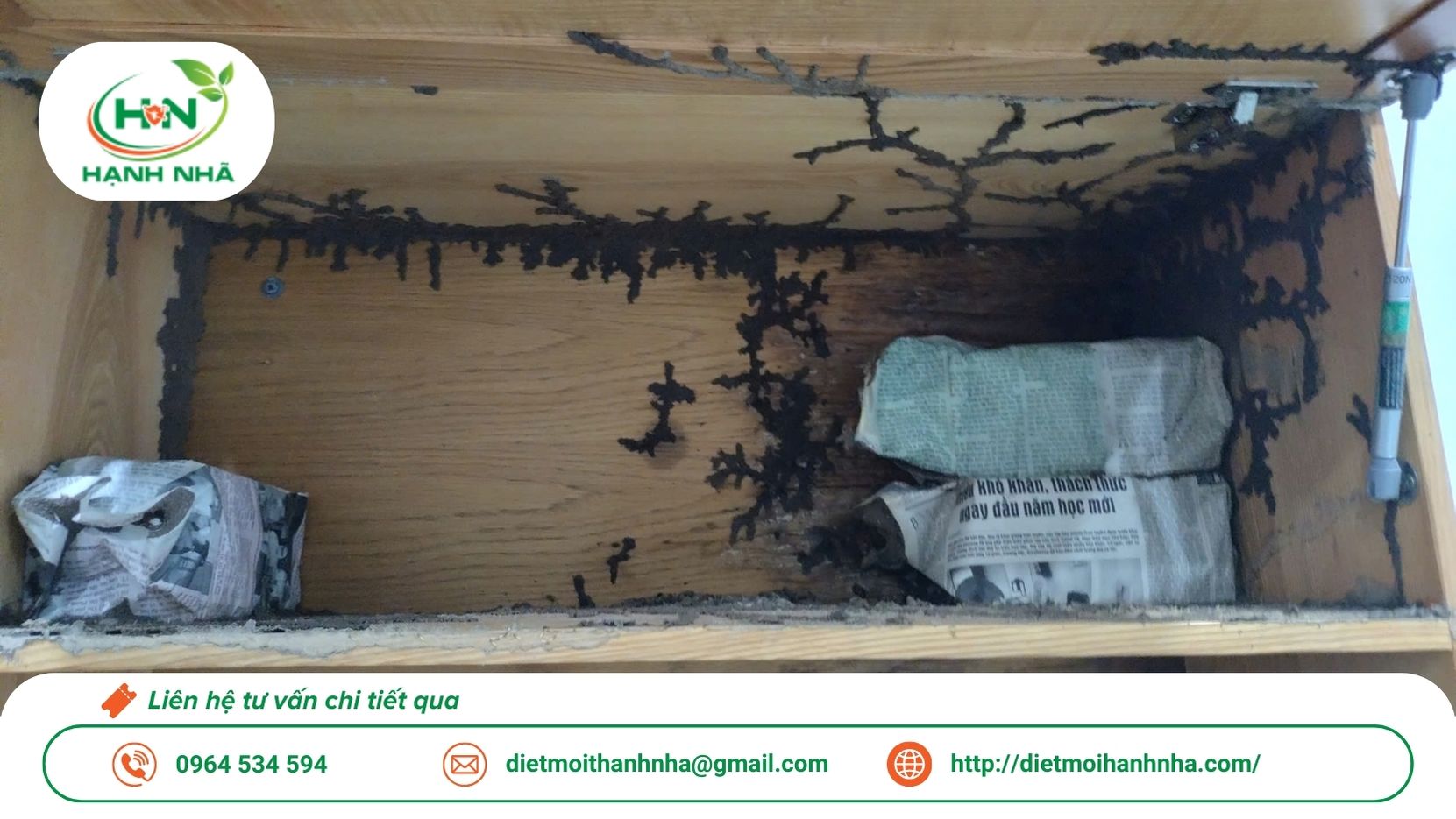 Diệt mối Hạnh Nhã