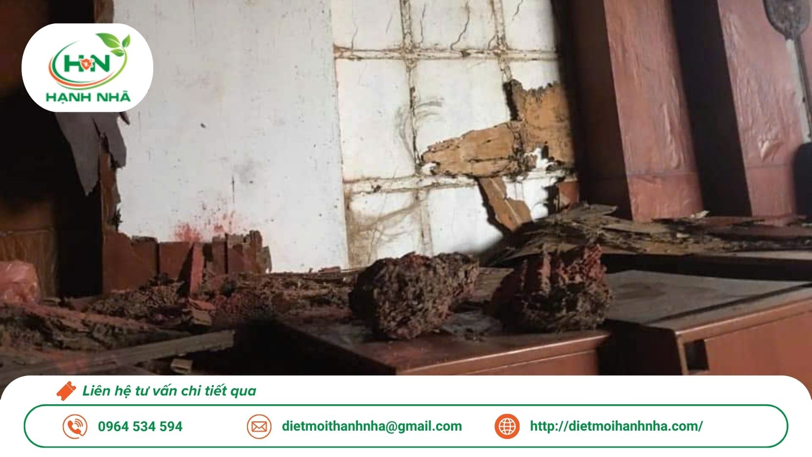 Dịch vụ diệt mối tận gốc